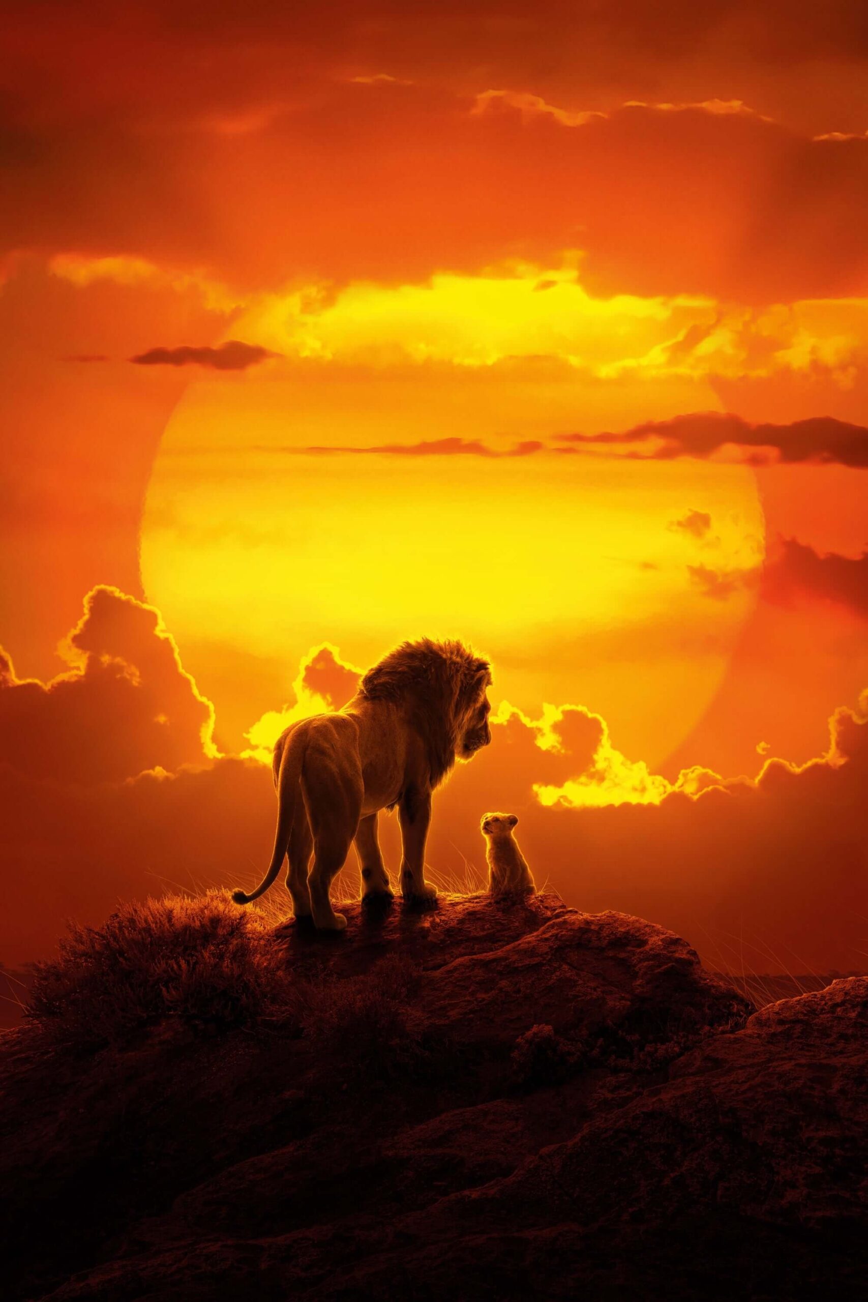 شیرشاه (The Lion King)