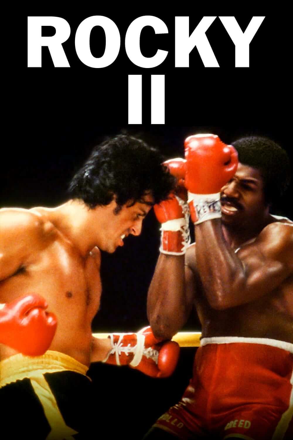 راکی ۲ (Rocky II)