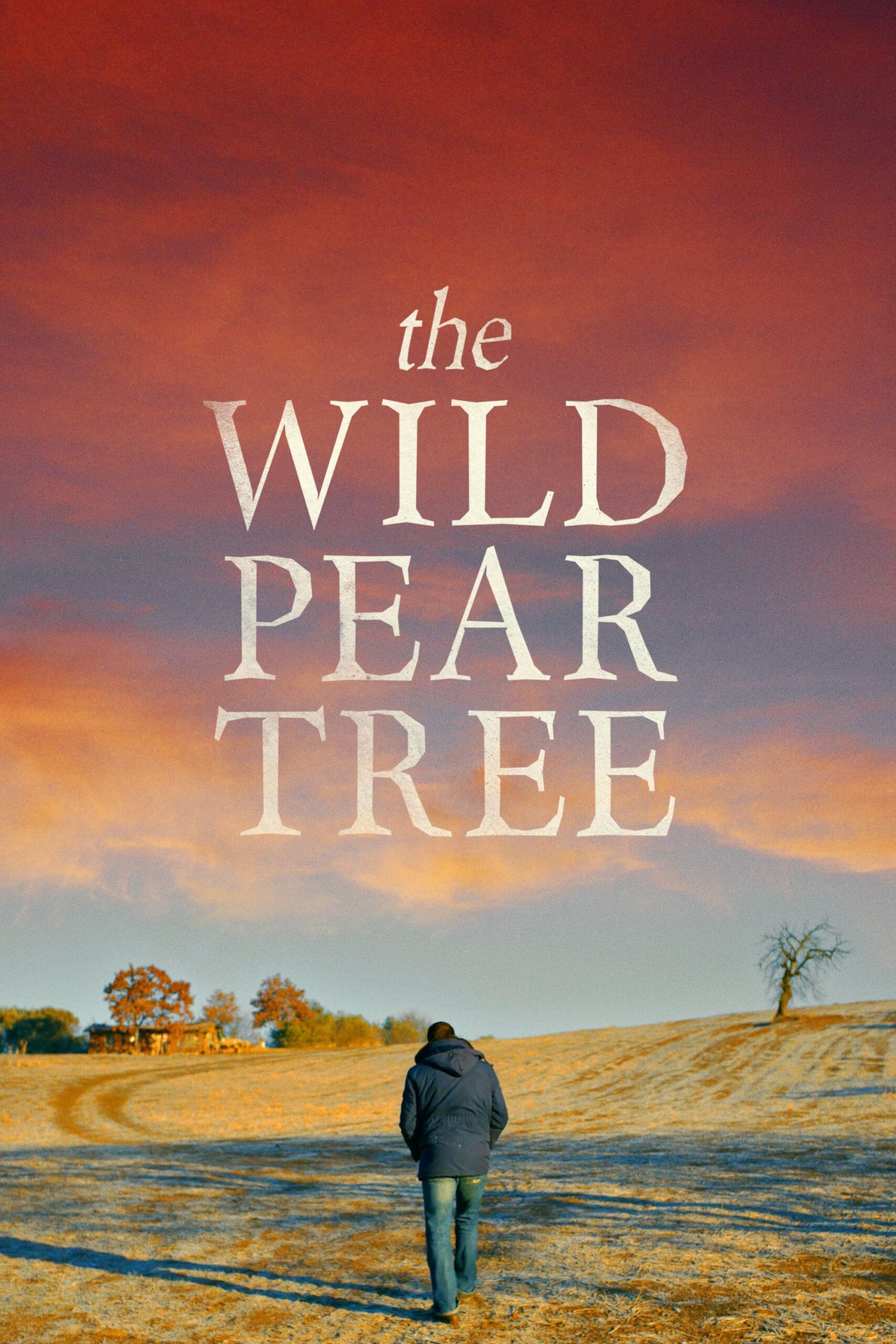 درخت گلابی وحشی (The Wild Pear Tree)