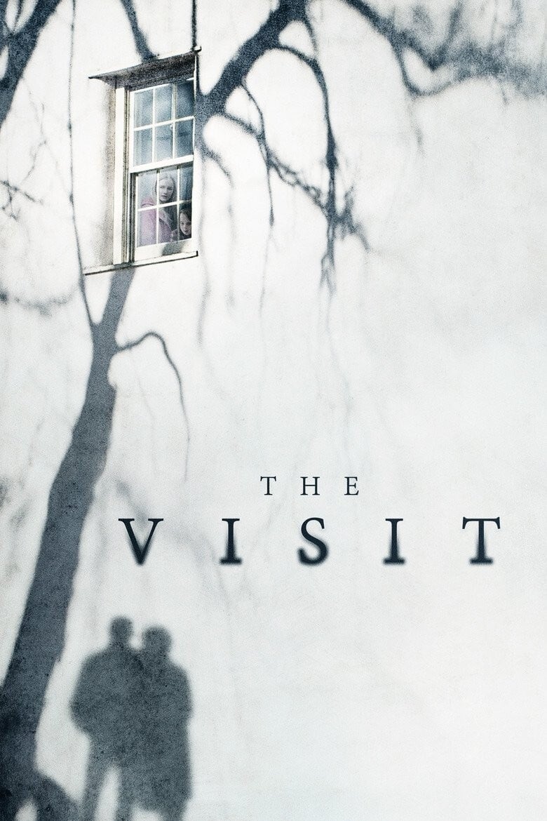 ملاقات (The Visit)