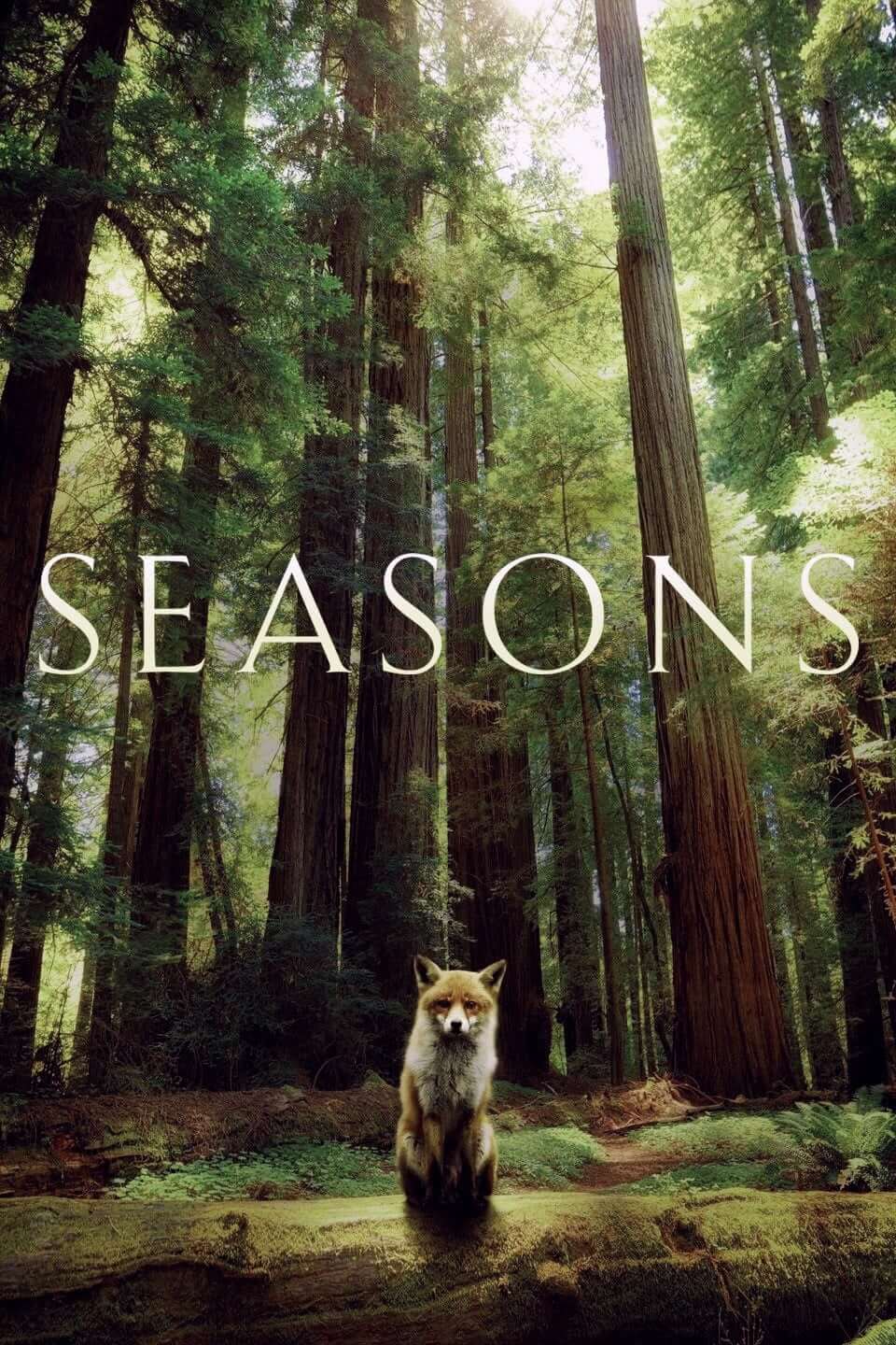 فصل‌ها (Seasons)