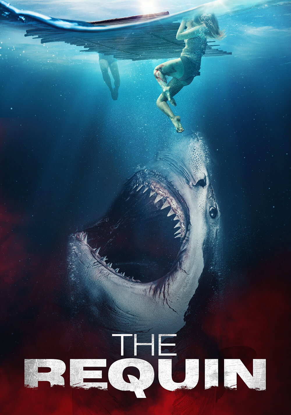 رکوین (The Requin)