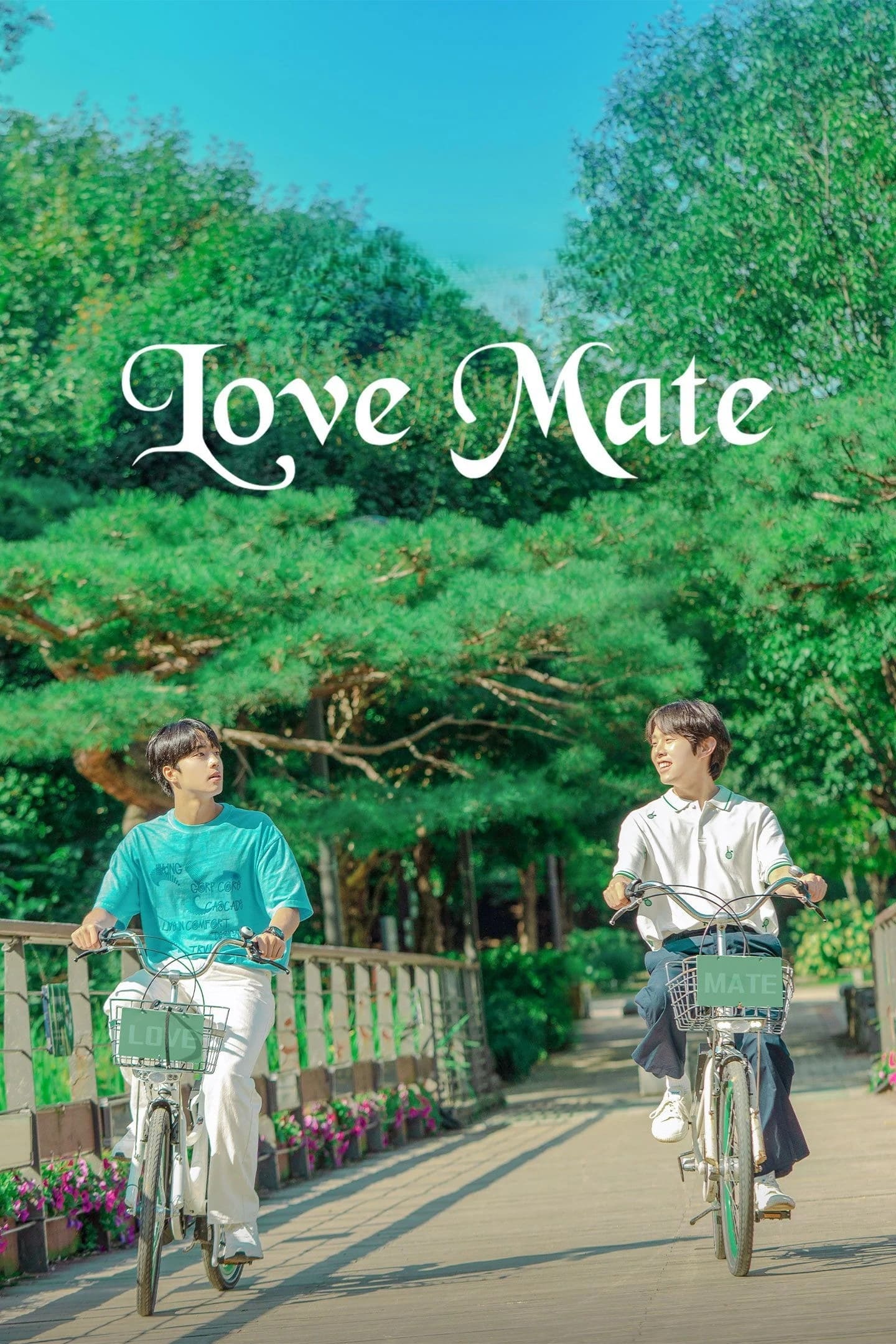 ملاقات عشق (Love Mate)