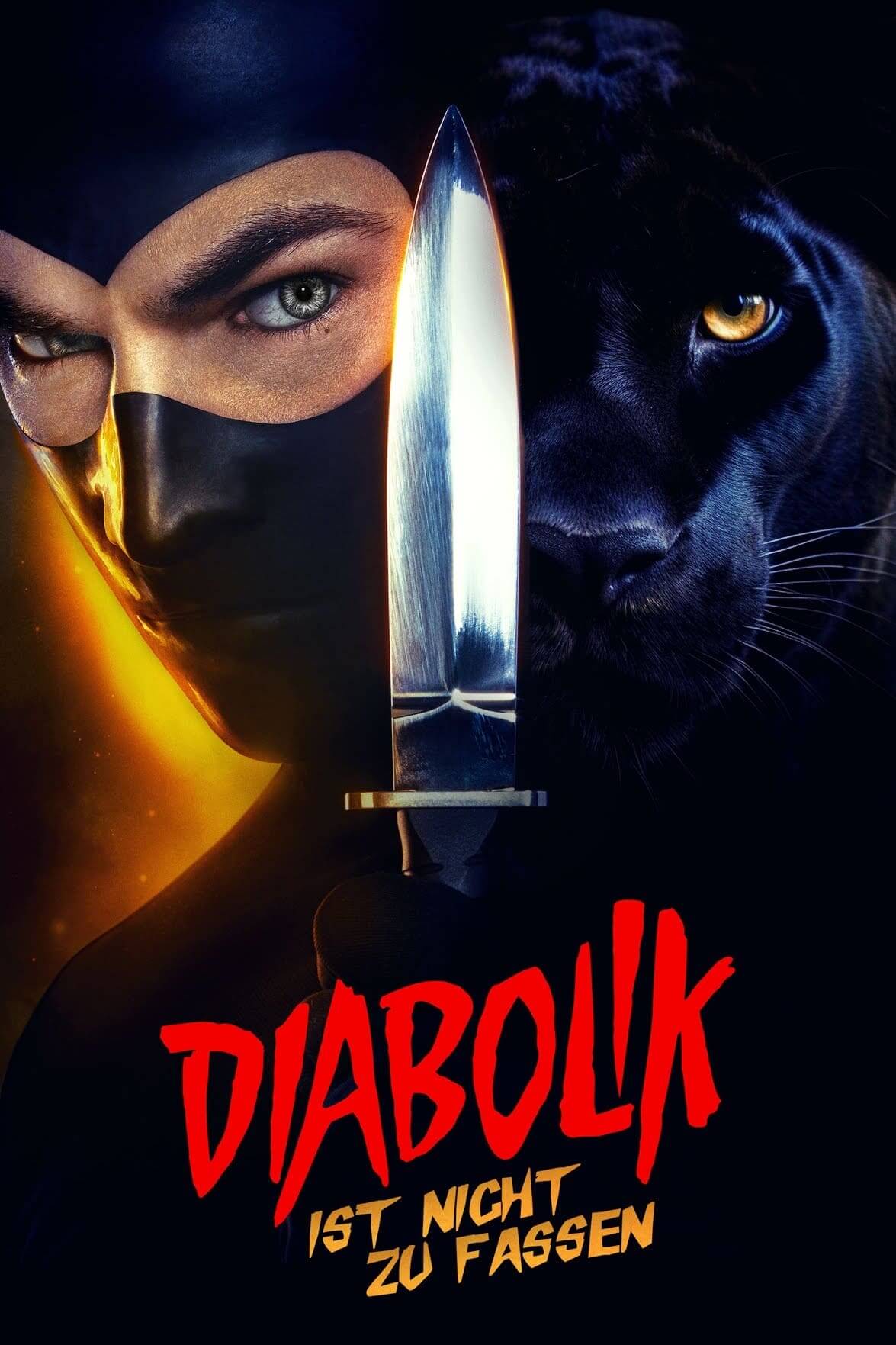 دیابولیک: تو کی هستی؟ (Diabolik: Who Are You?)